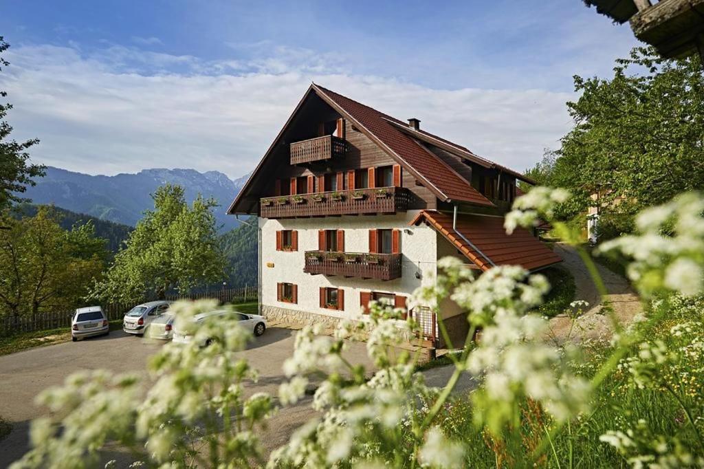 Farm Stay "Alpine Dreams" Solčava Εξωτερικό φωτογραφία