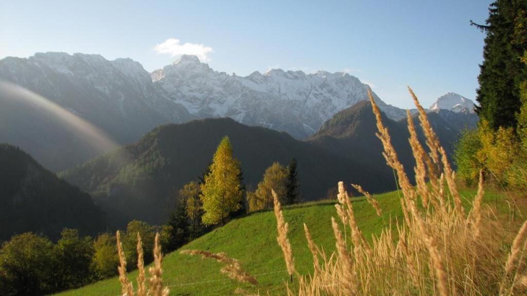 Farm Stay "Alpine Dreams" Solčava Εξωτερικό φωτογραφία