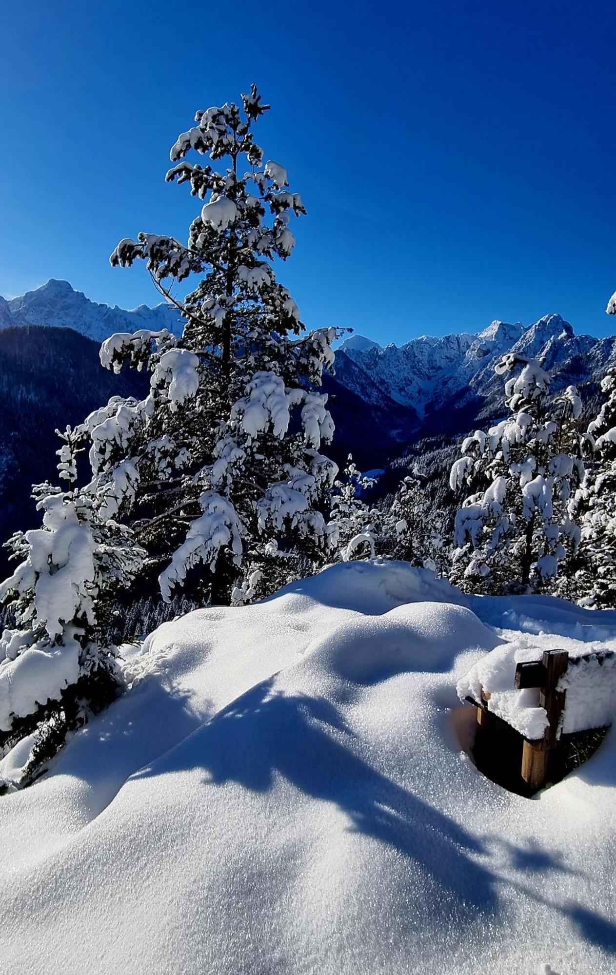 Farm Stay "Alpine Dreams" Solčava Εξωτερικό φωτογραφία