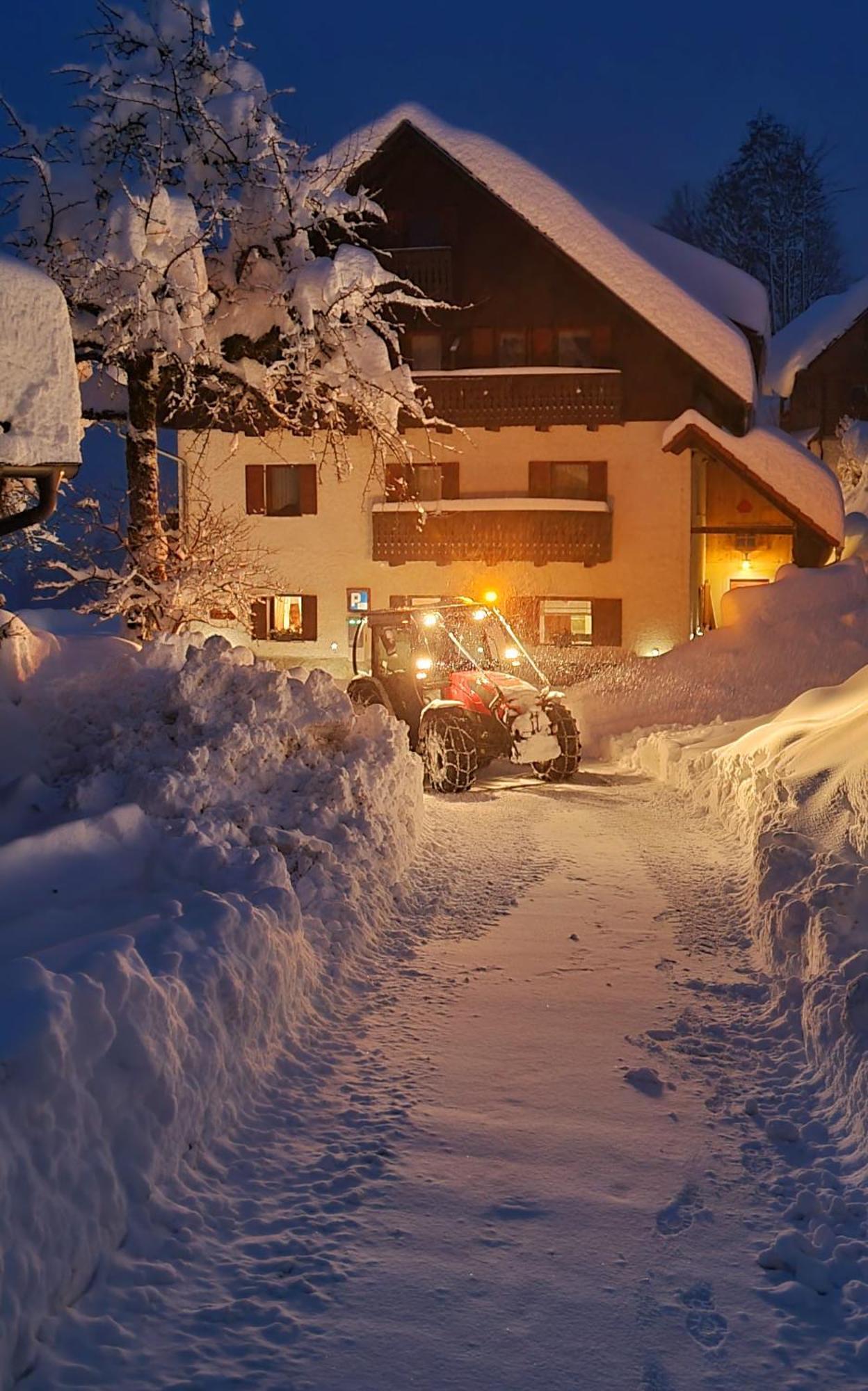 Farm Stay "Alpine Dreams" Solčava Εξωτερικό φωτογραφία