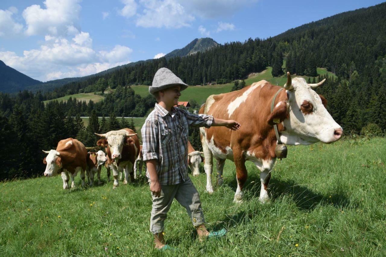 Farm Stay "Alpine Dreams" Solčava Εξωτερικό φωτογραφία