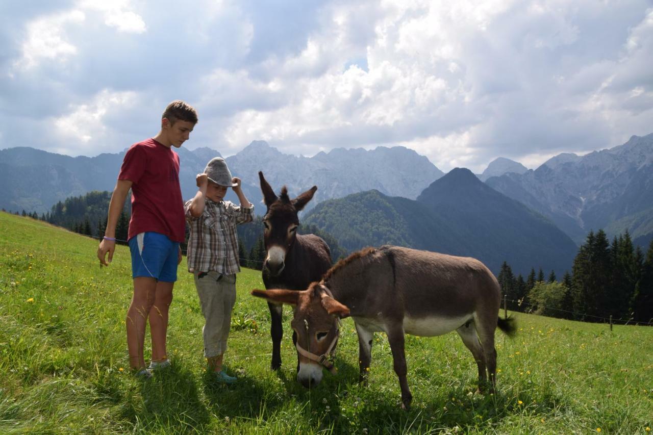 Farm Stay "Alpine Dreams" Solčava Εξωτερικό φωτογραφία