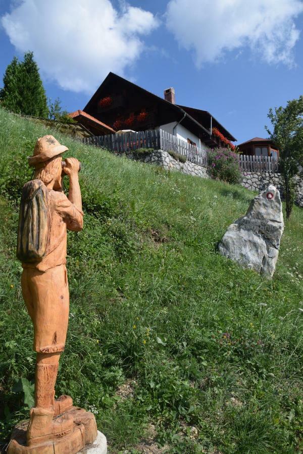 Farm Stay "Alpine Dreams" Solčava Εξωτερικό φωτογραφία