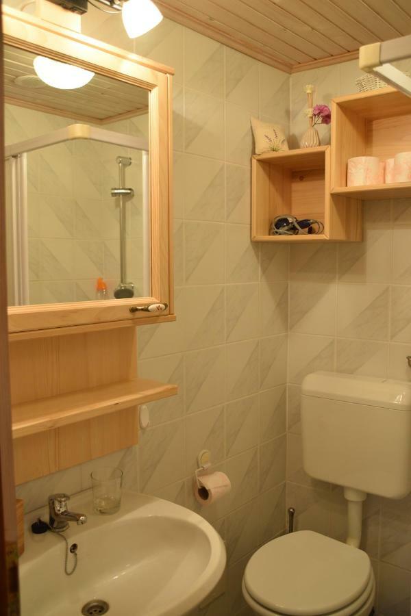 Farm Stay "Alpine Dreams" Solčava Εξωτερικό φωτογραφία