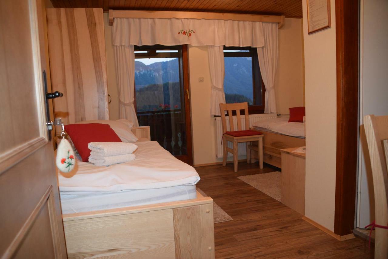 Farm Stay "Alpine Dreams" Solčava Εξωτερικό φωτογραφία